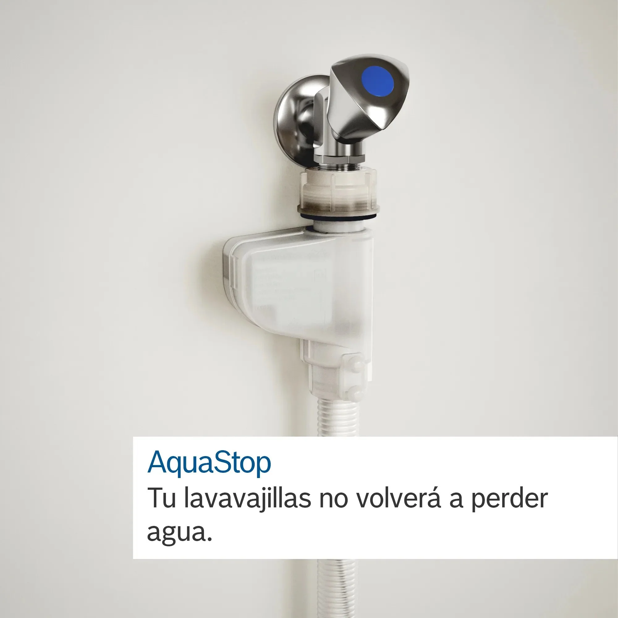 Imagen del producto 10