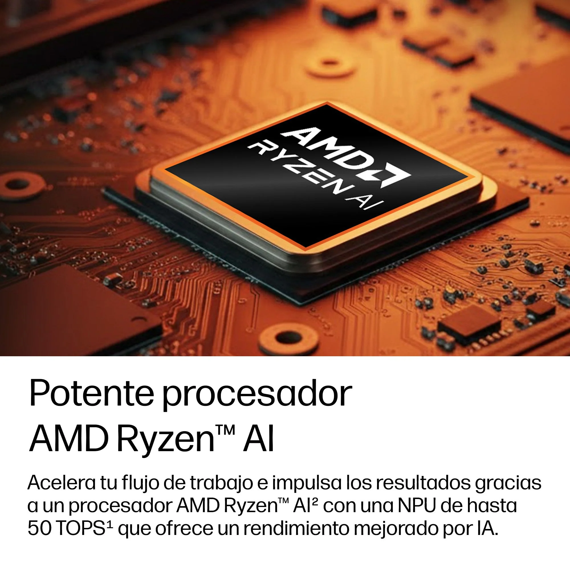 Imagen del producto 11