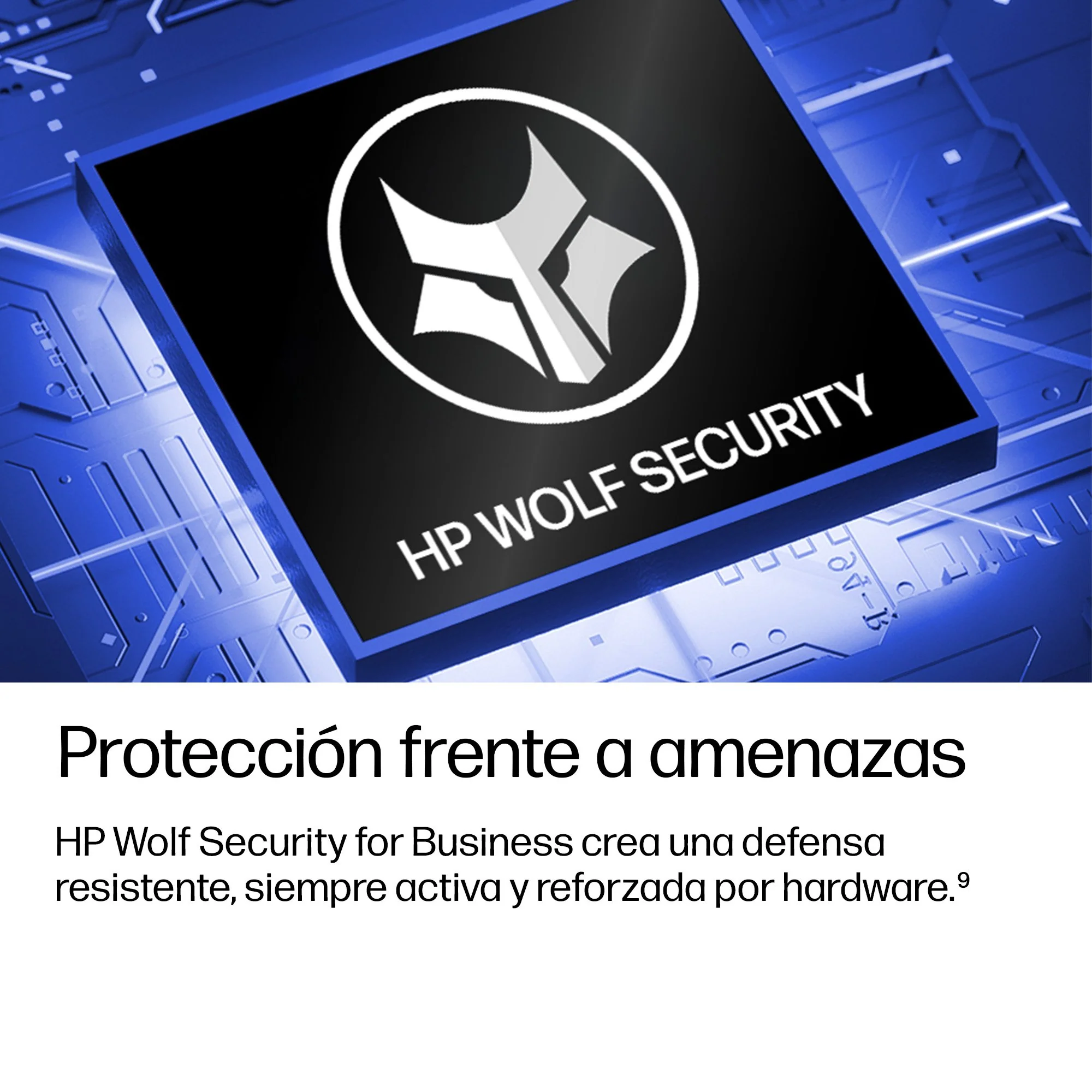 Imagen del producto 11
