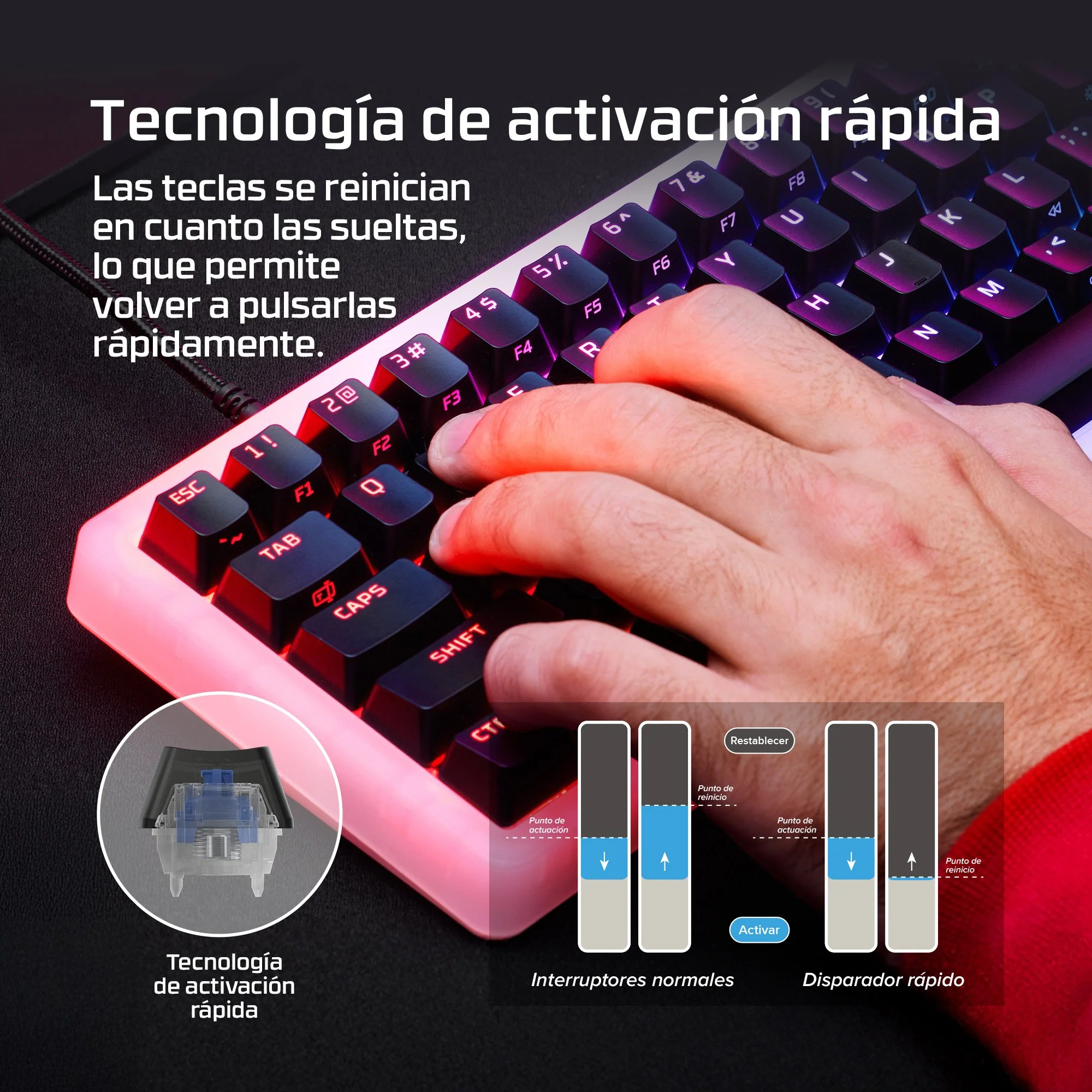 Imagen del producto 4