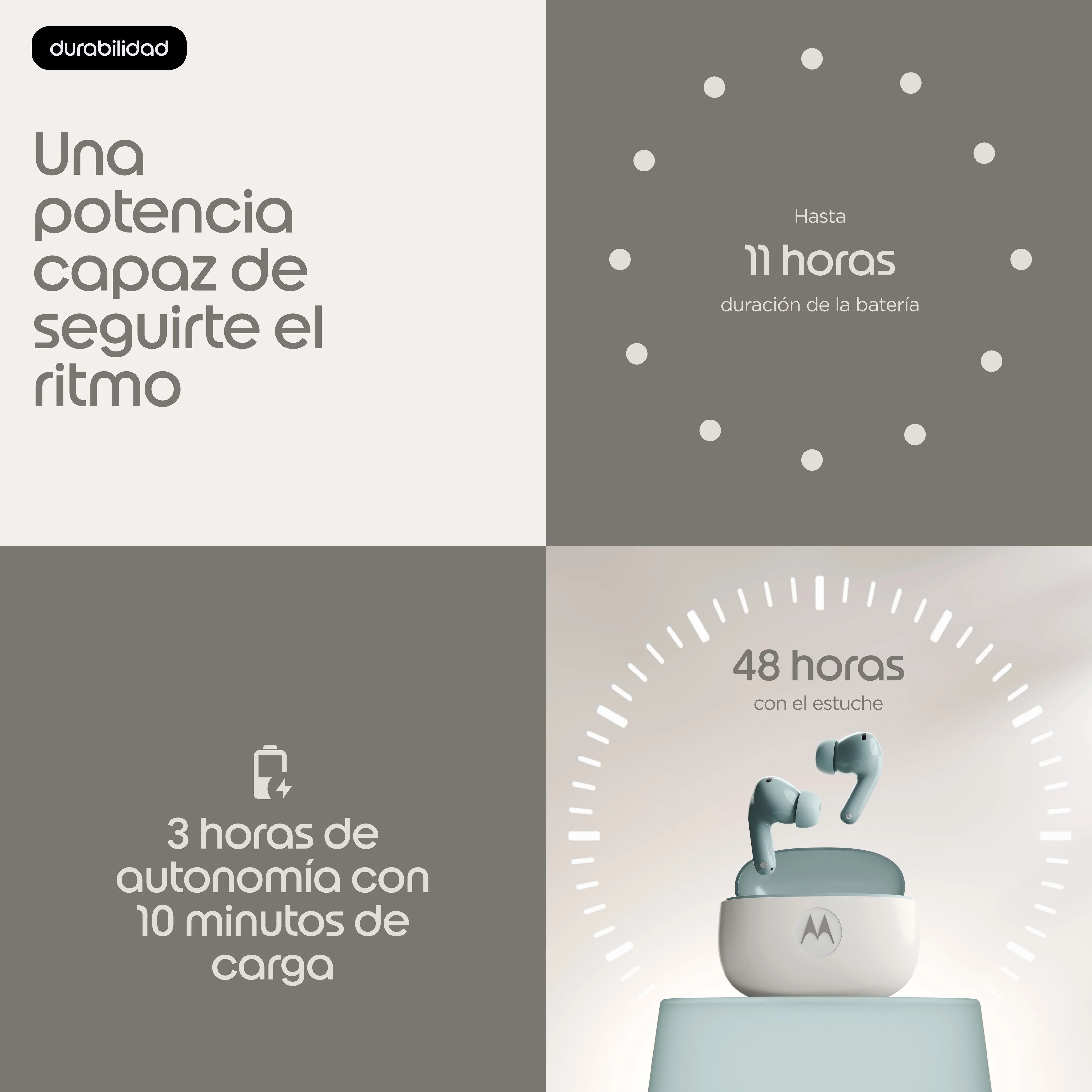 Imagen del producto 16