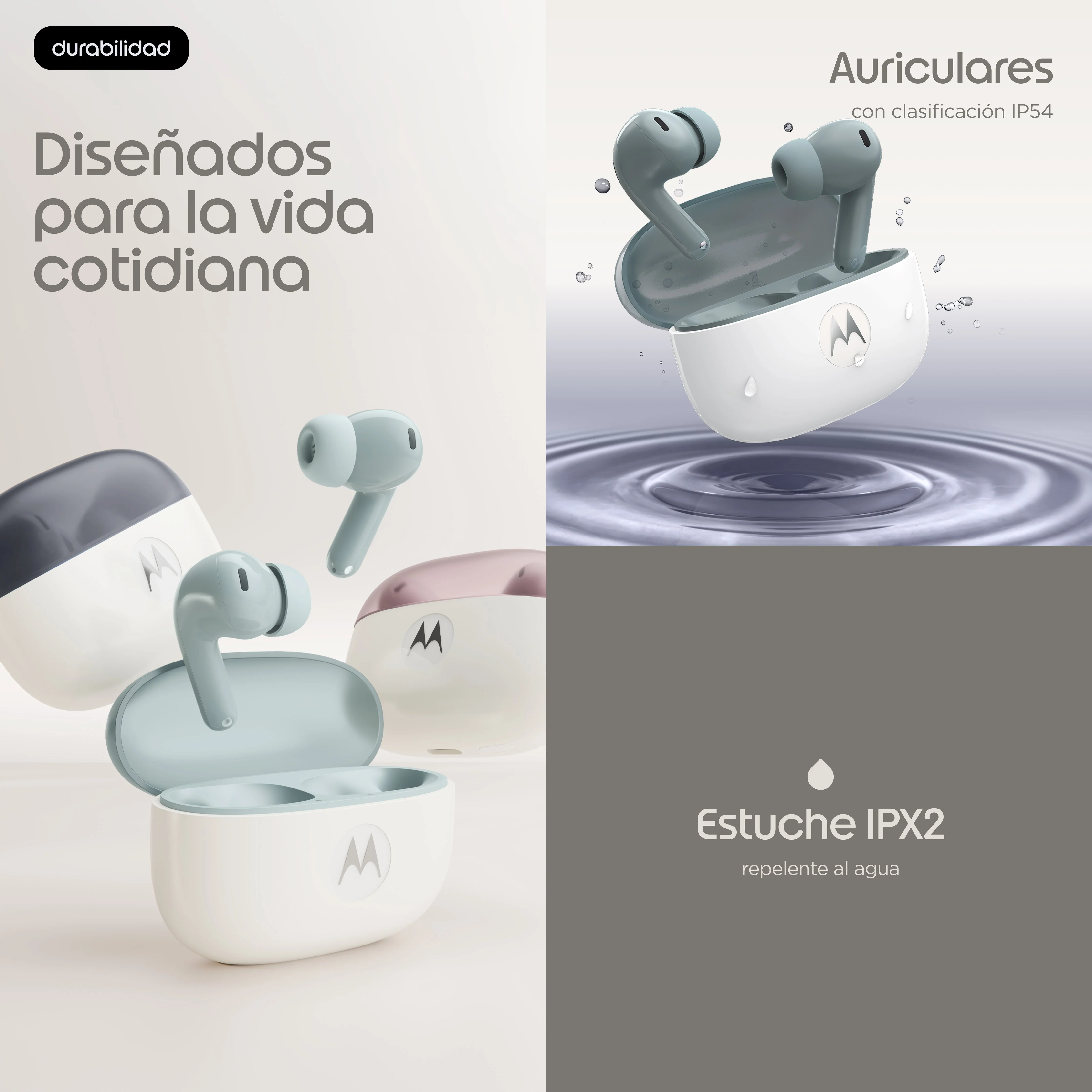 Imagen del producto 18