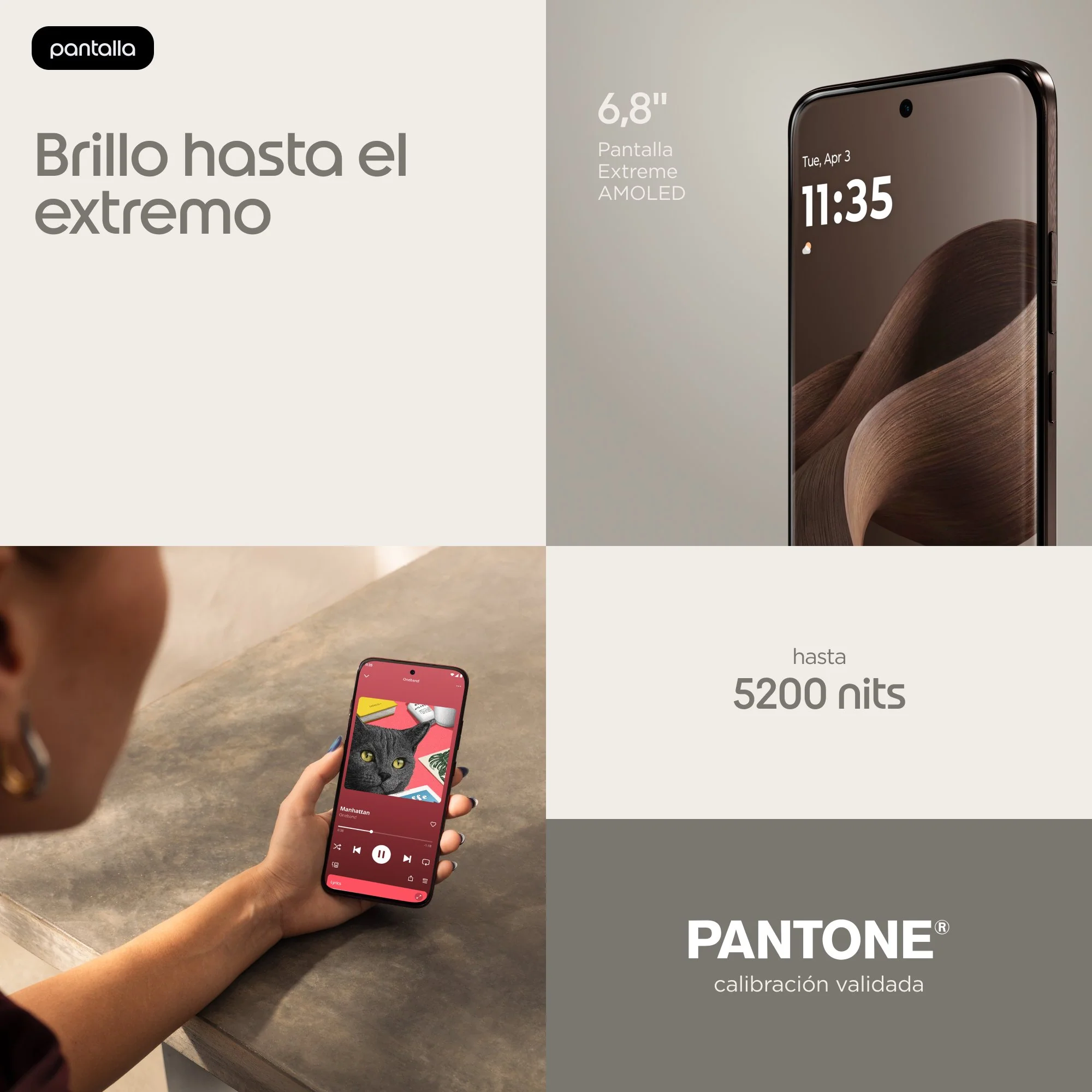Imagen del producto 10