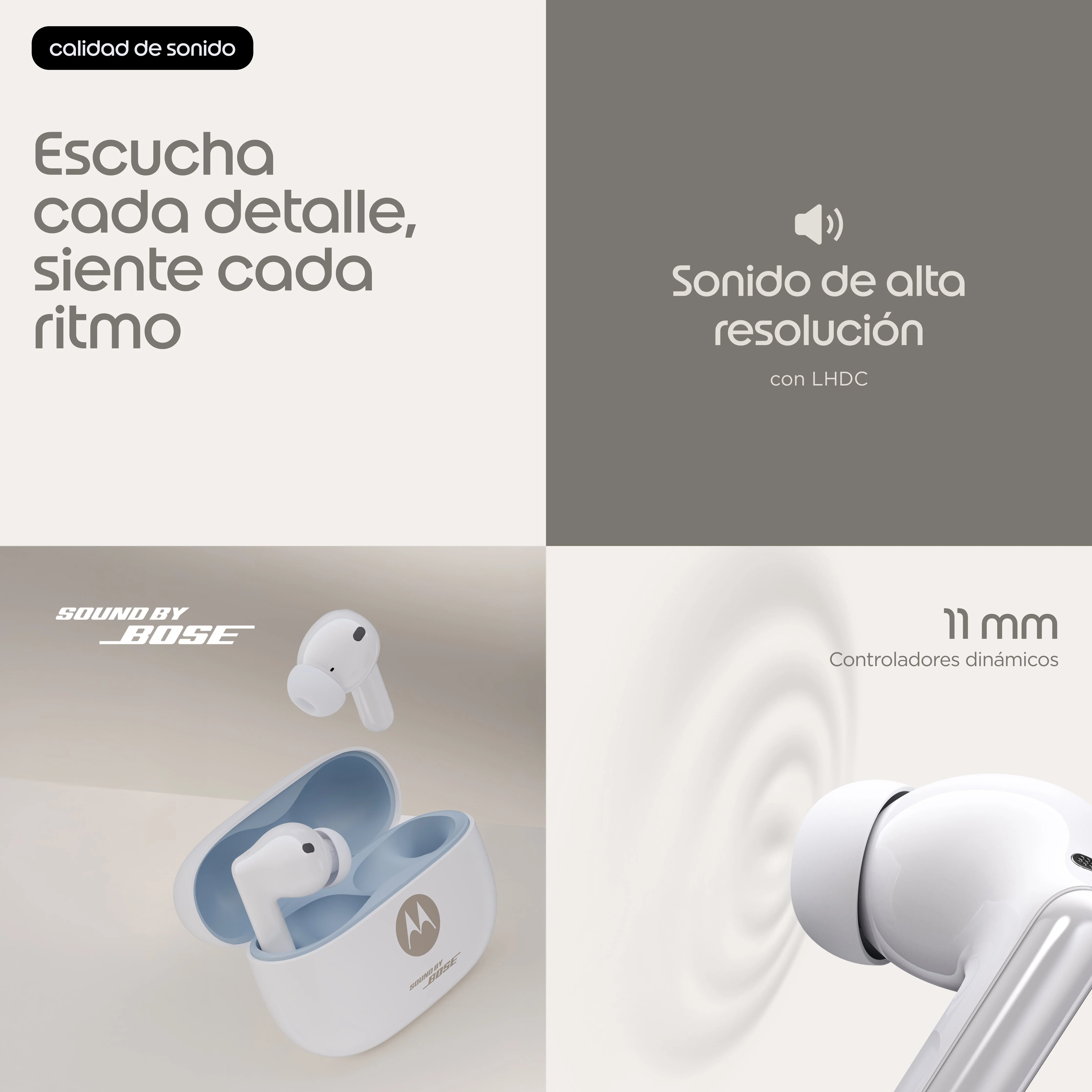 Imagen del producto 12