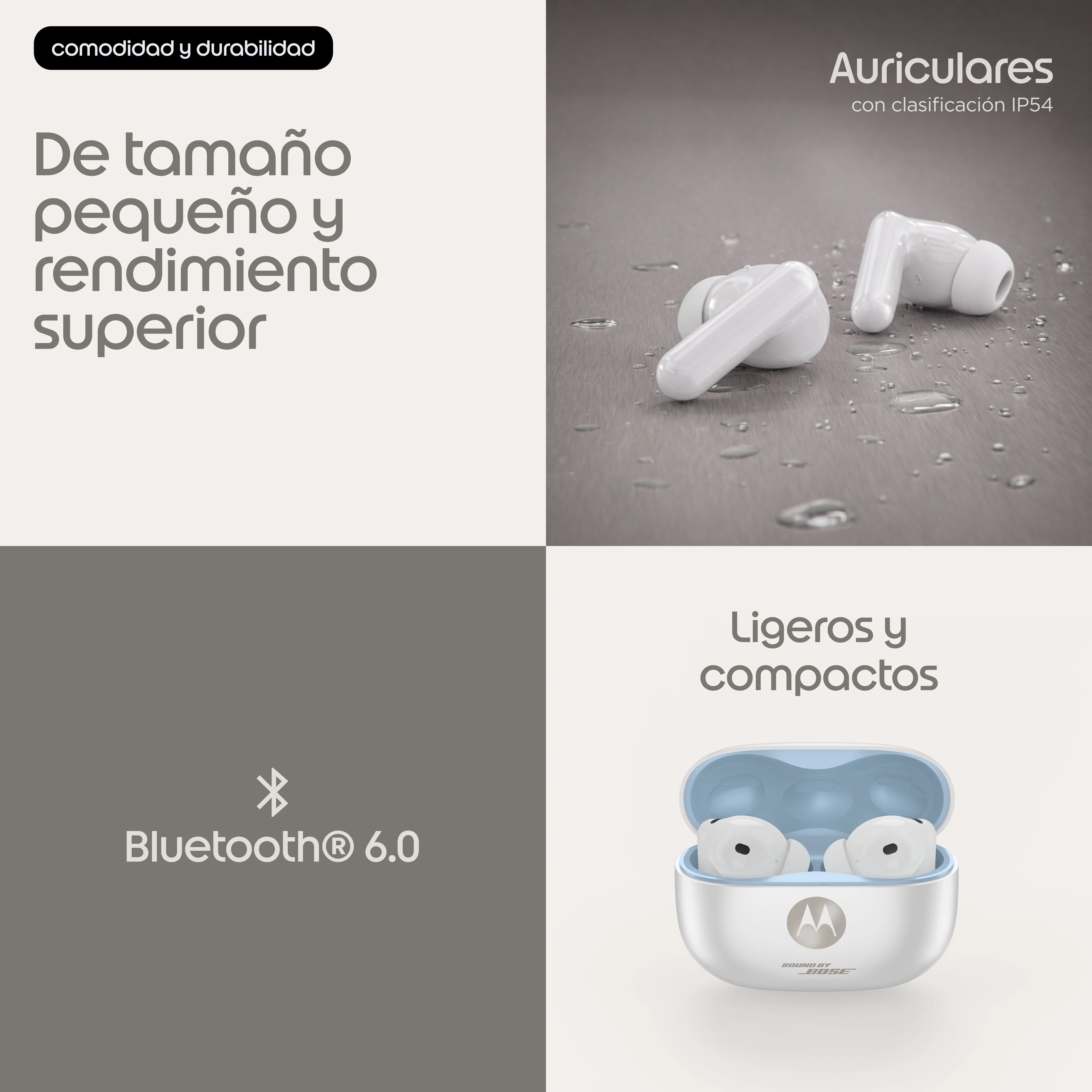 Imagen del producto 16