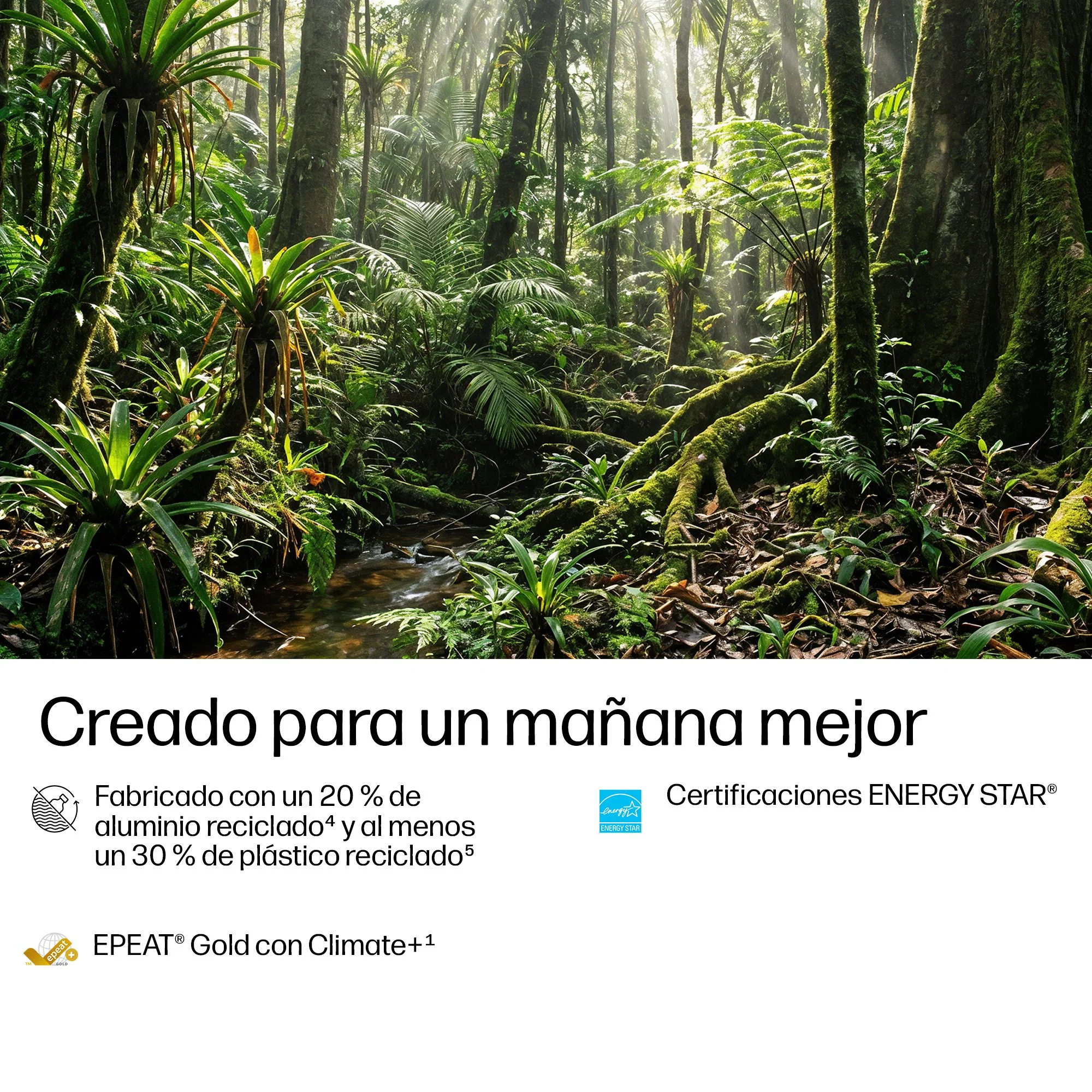 Imagen del producto 13