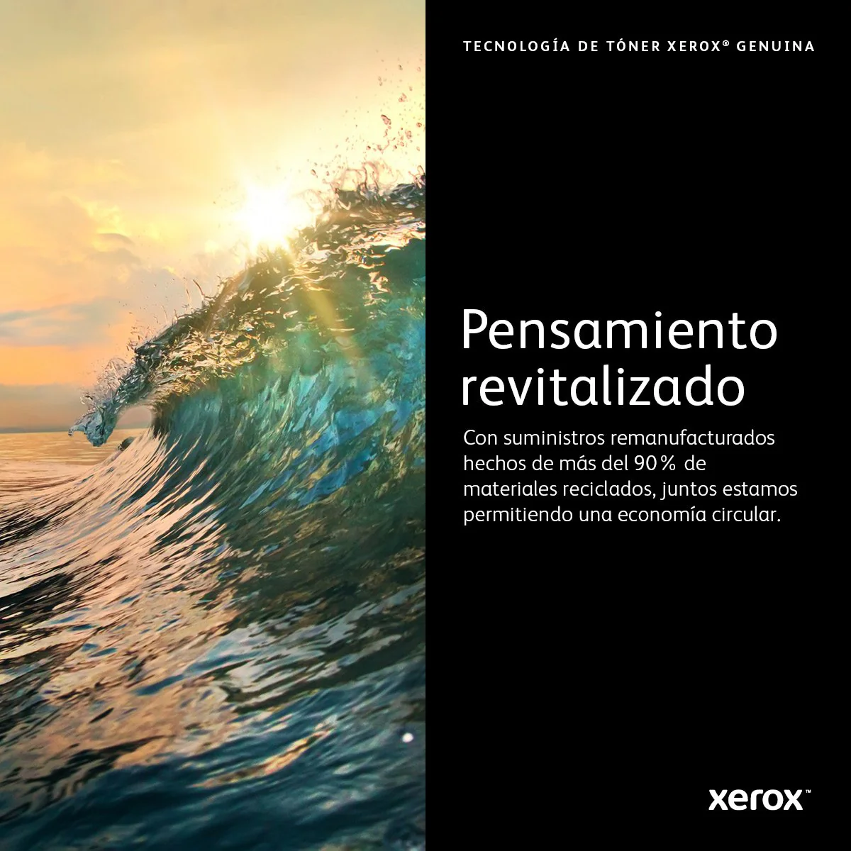 Imagen del producto 10
