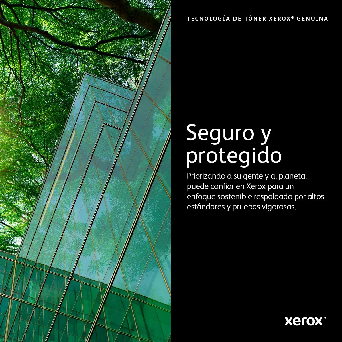 Imagen del producto 8